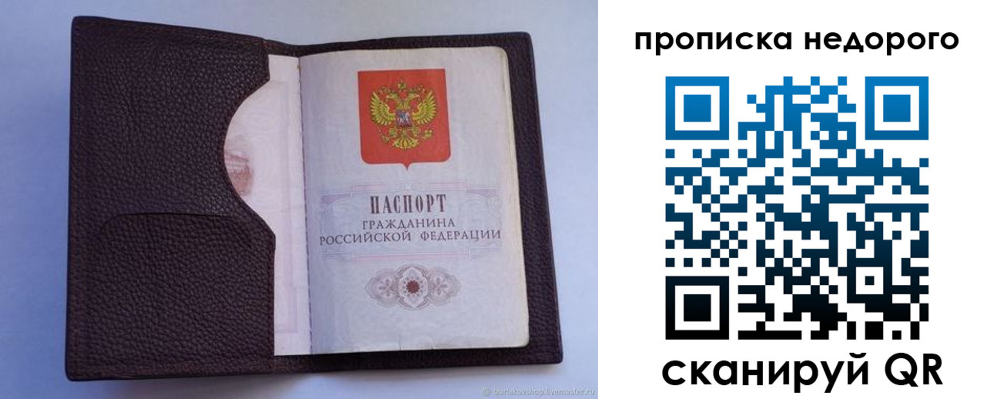 прописка законно в Вольске
